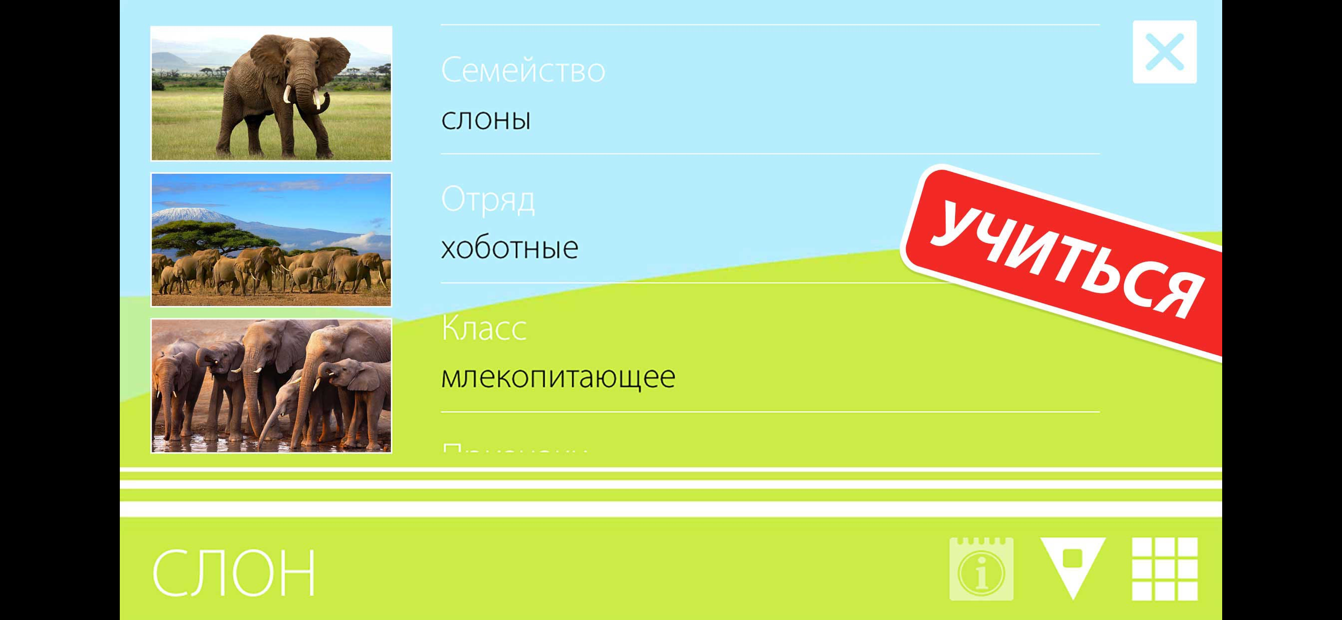 ГОЛОСА ЗВЕРЕЙ, ФОТО И ИНФО .