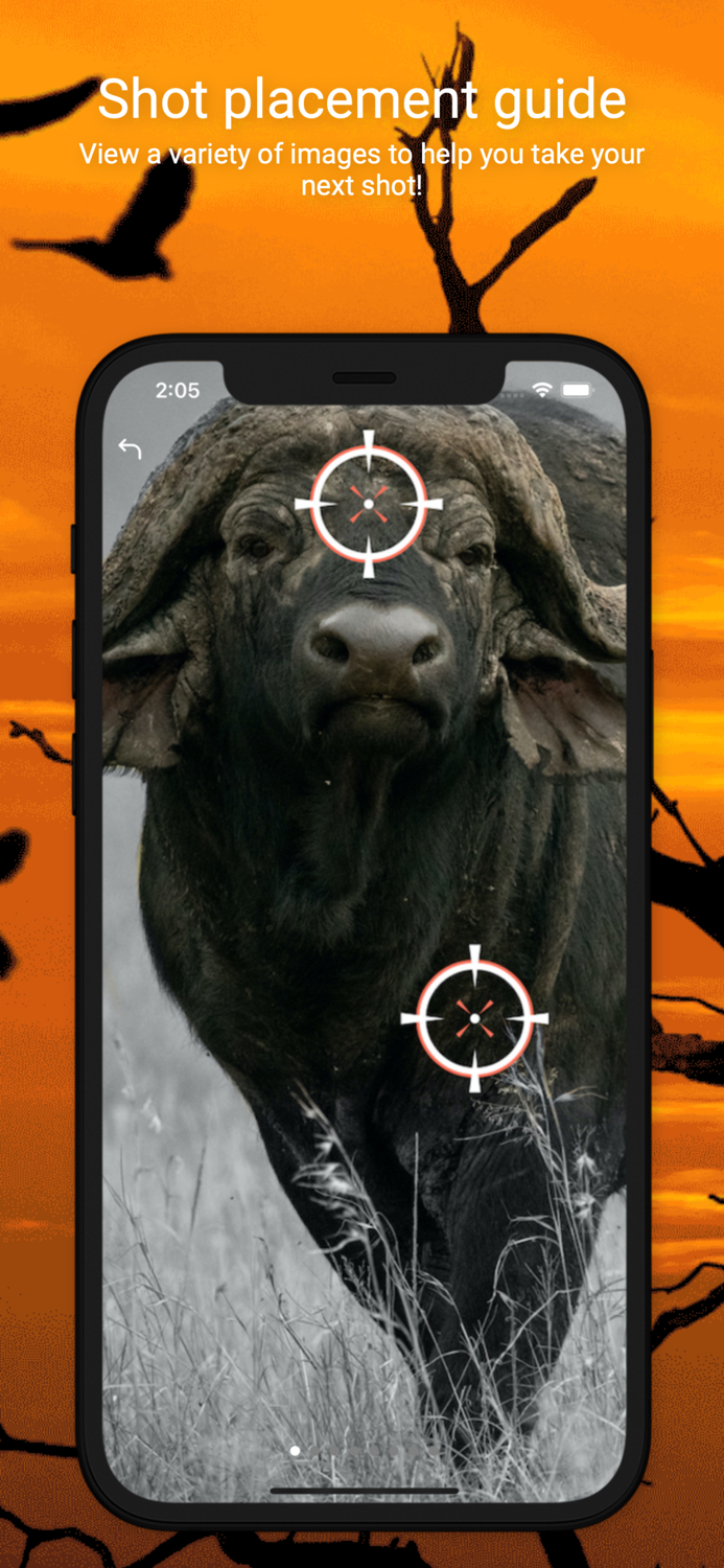 International Hunters