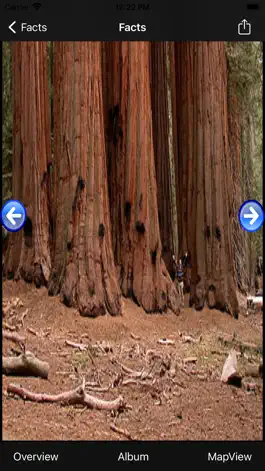 Game screenshot Sequoia-National-Park hack