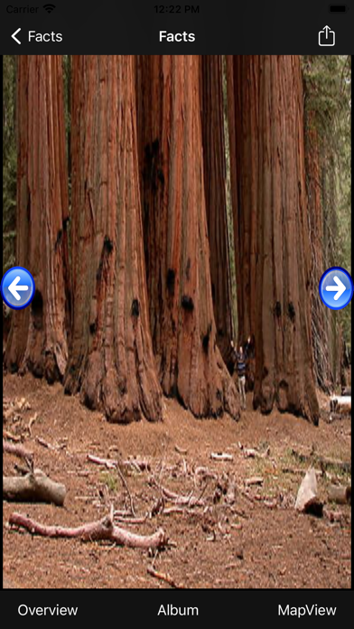 Sequoia-National-Park Screenshot