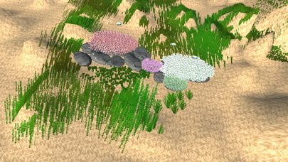Tropical fish oasis Screenshot