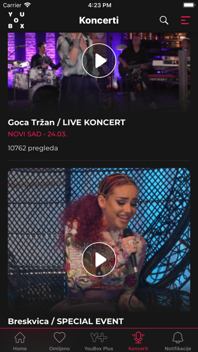 YouBox Screenshot