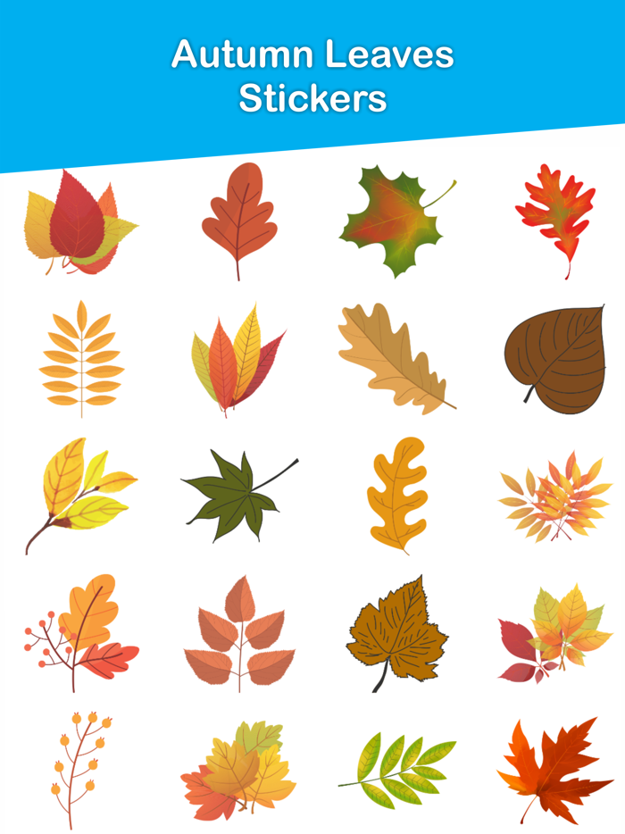 Autumn Leaves Emojis