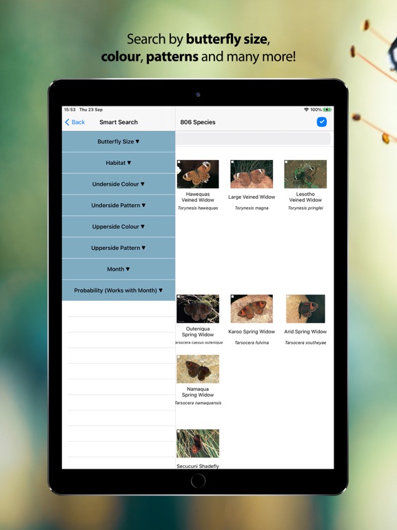 Woodhall’s eButterflies RSA iPad screenshot 5 - Reference app