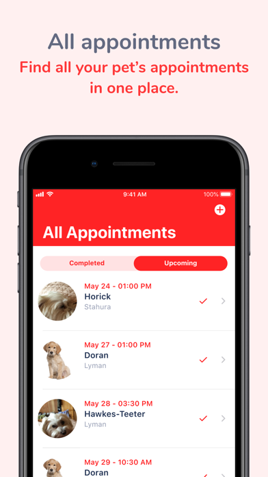 Veterinary Care at Belmont Screenshot
