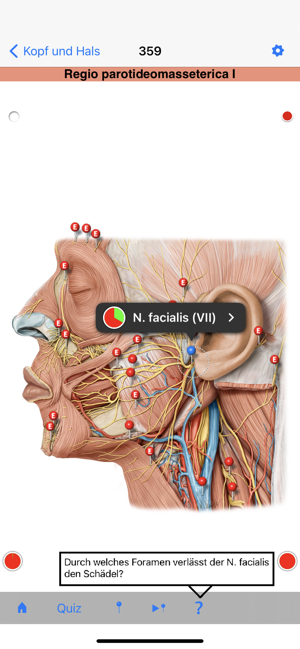 PROMETHEUS - LernKarten Screenshot