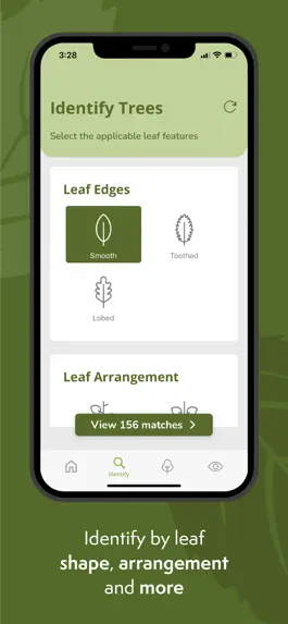 Game screenshot NZ Trees apk