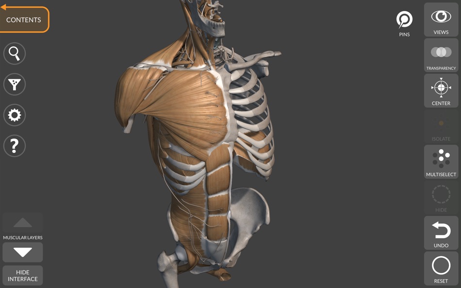 #1. 3D Anatomy for the Artist 2025 (macOS) De: Catfish Animation Studio
