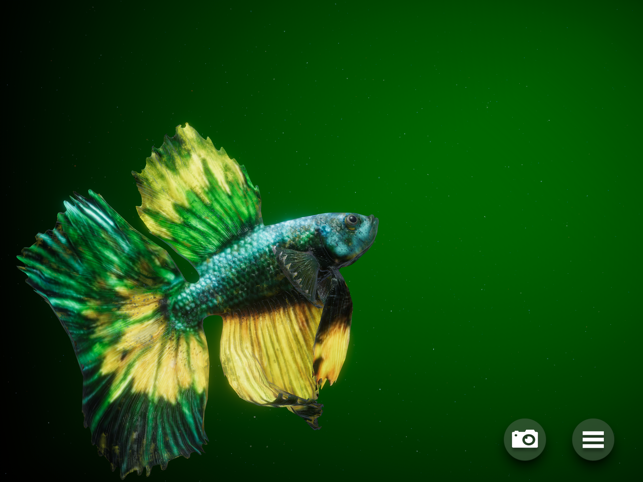 ‎Betta Fish - Virtual Aquarium Screenshot