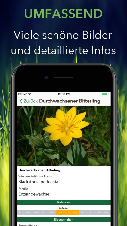 Krautfinder screenshot-7