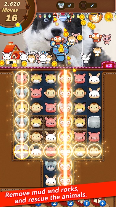 Puzzle Hot Animal & Fish Screenshot