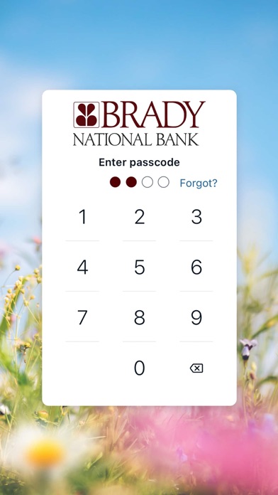 TheBradyBank Screenshot