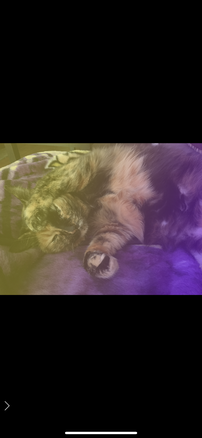 GradientMaker - Pro Image FX