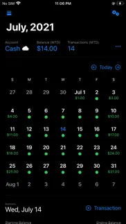 cashflow calendar iphone screenshot 1