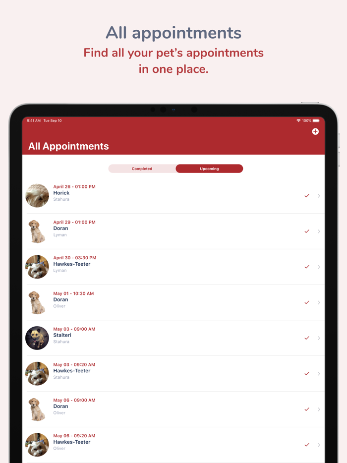 Mukilteo Veterinary Hospital