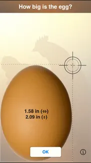 the perfect egg timer problems & solutions and troubleshooting guide - 2