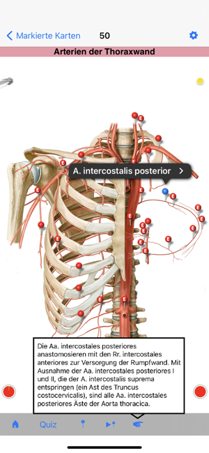 PROMETHEUS - LernKarten Screenshot