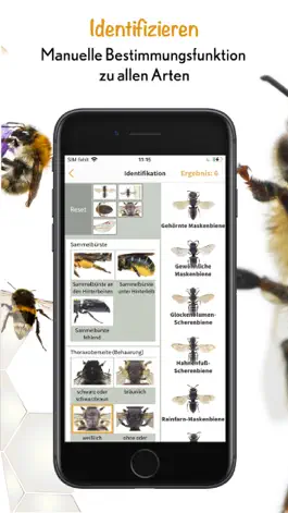 Game screenshot Wildbienen Id BienABest apk