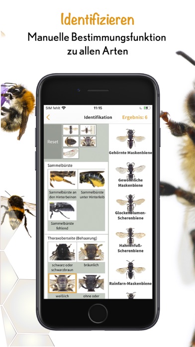 Screenshot #2 pour Wildbienen Id BienABest