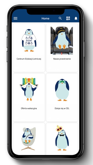 CEL Kraków Screenshot