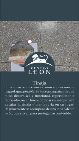 Game screenshot Centro Leon AR apk