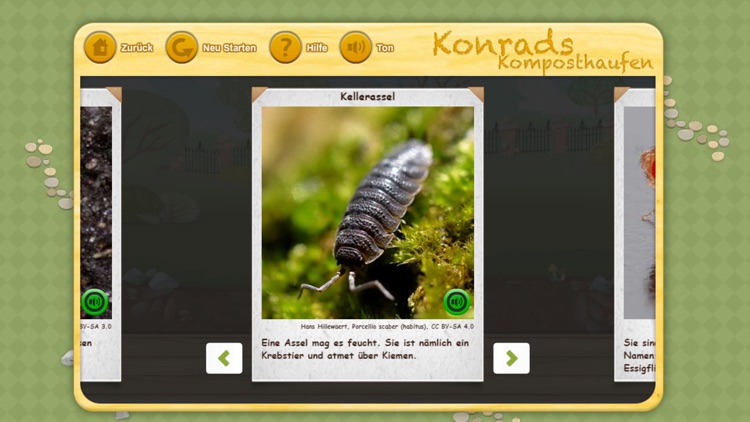 Konrads Kompost screenshot-4