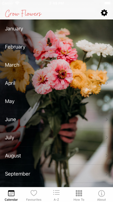 Grow Flowers Screenshot
