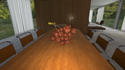 Squamous Cell Cancer-Head/Neck Screenshot