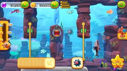 Shark Shallow Screenshot