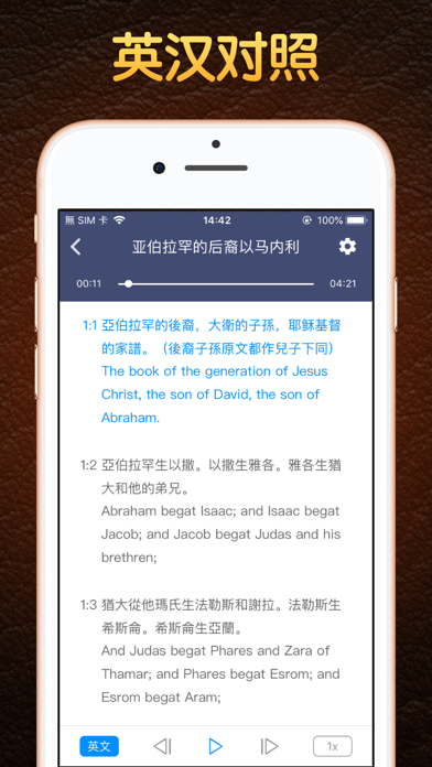 语音圣经 - Standard Bible Screenshot