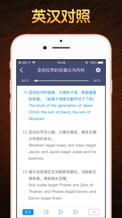 语音圣经 - Standard Bible screenshot-3