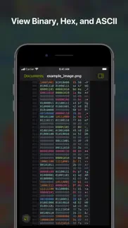 hexer — hex file viewer iphone screenshot 3