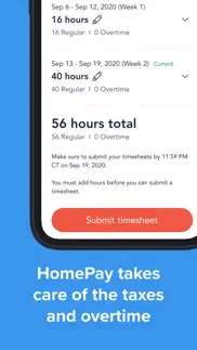 homepay time tracker problems & solutions and troubleshooting guide - 3