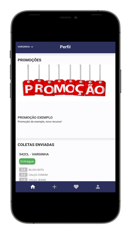 eLav - Coletas screenshot-4