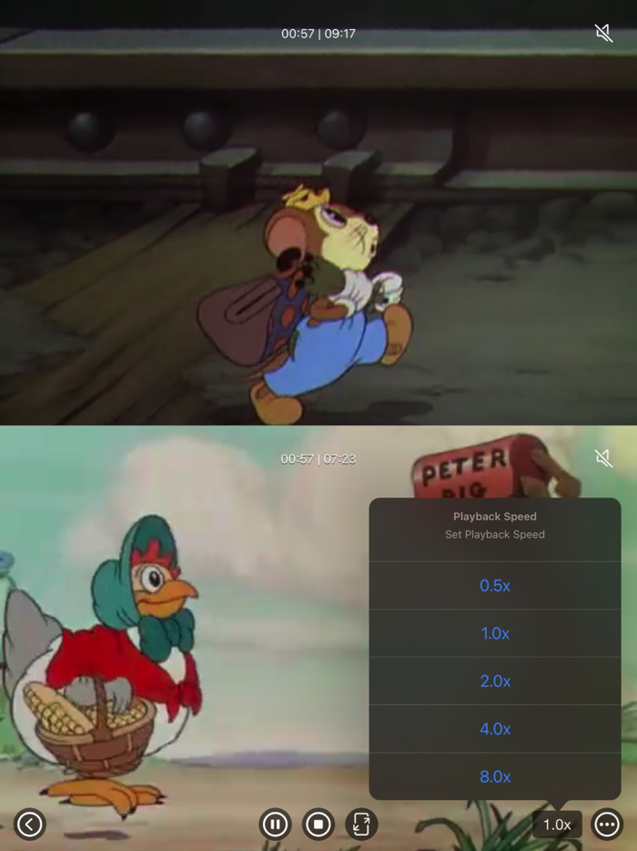Multi Video Player Plus