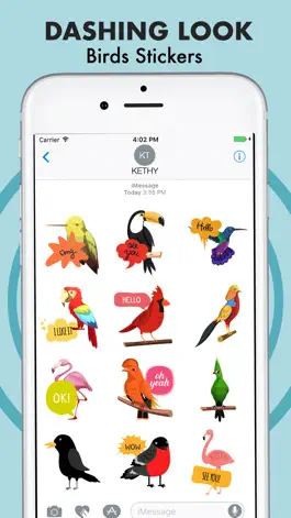 Game screenshot Stylish Bird Stickers mod apk