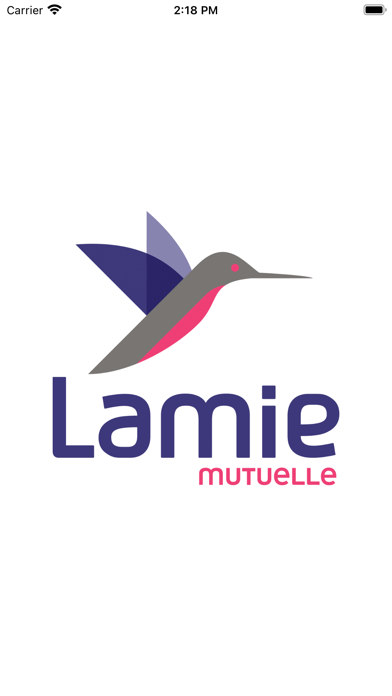 Lamie - Sécurité intérieure Screenshot