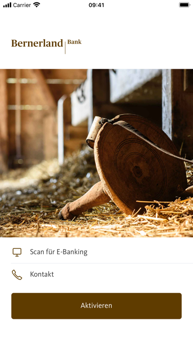 Bernerland Bank Screenshot
