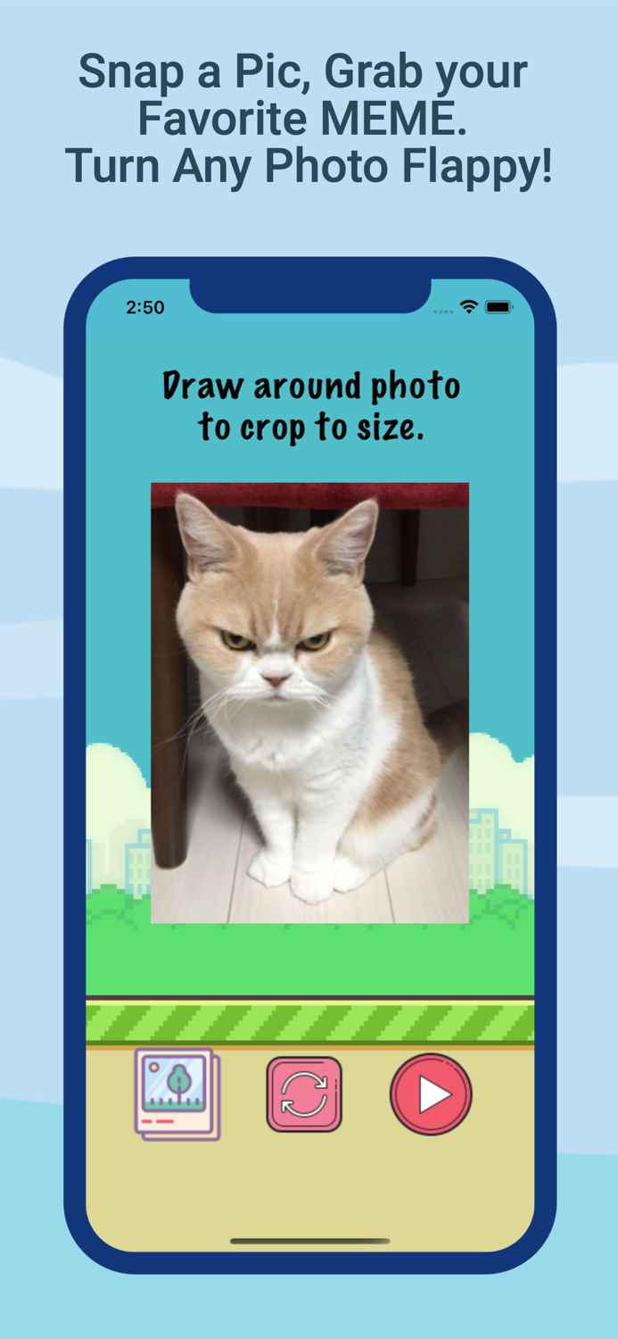 Flappy Me - Custom Adventure