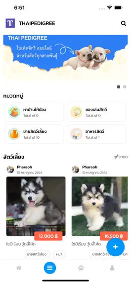 Game screenshot THAIPEDIGREE ไทยเพ็ดดีกรี apk
