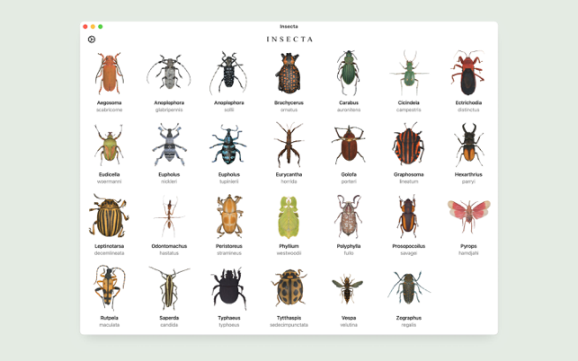 ‎Insecta - Study Insects in AR Screenshot