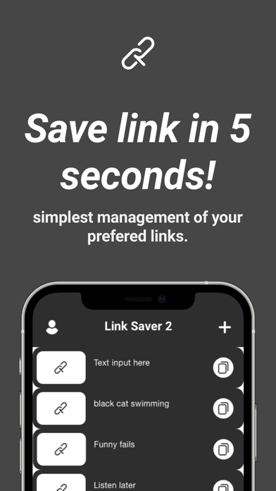 Link Saver 2 Screenshot