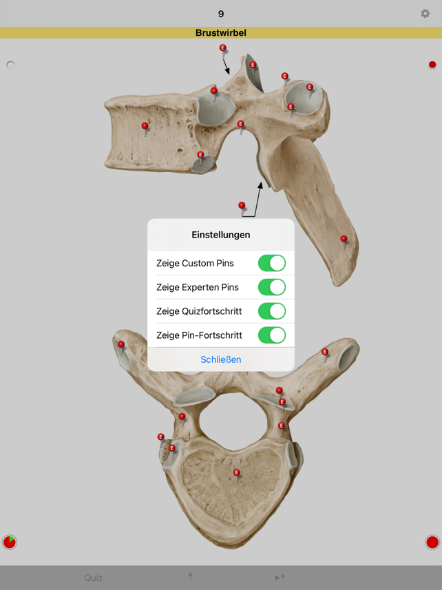 PROMETHEUS - LernKarten Screenshot