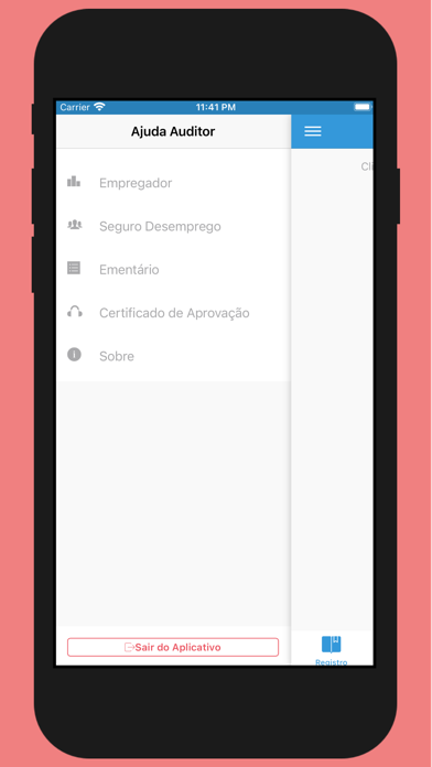 Ajuda Auditor Screenshot