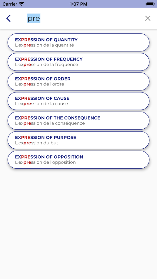 #10. FRENCH GRAMMAR・Lessons & Tests (iOS) 由: PORO Studio