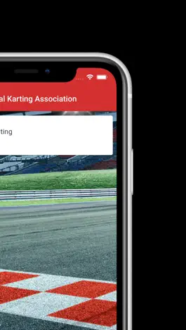 Game screenshot NKA Karting apk