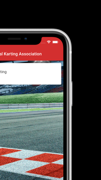 NKA Karting screenshot 2