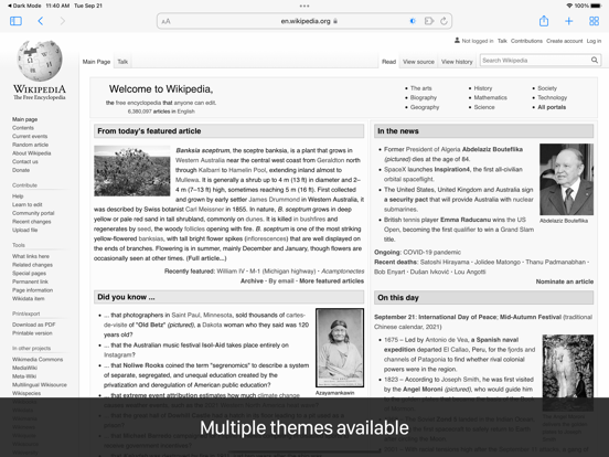 Dark Mode for Safari iPad app afbeelding 5