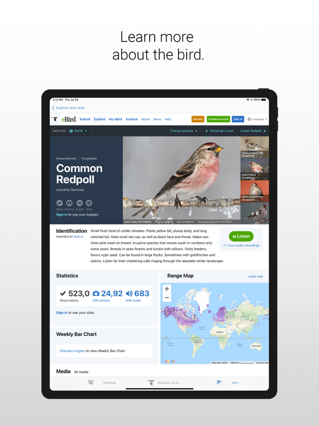 ‎BirdNET Screenshot