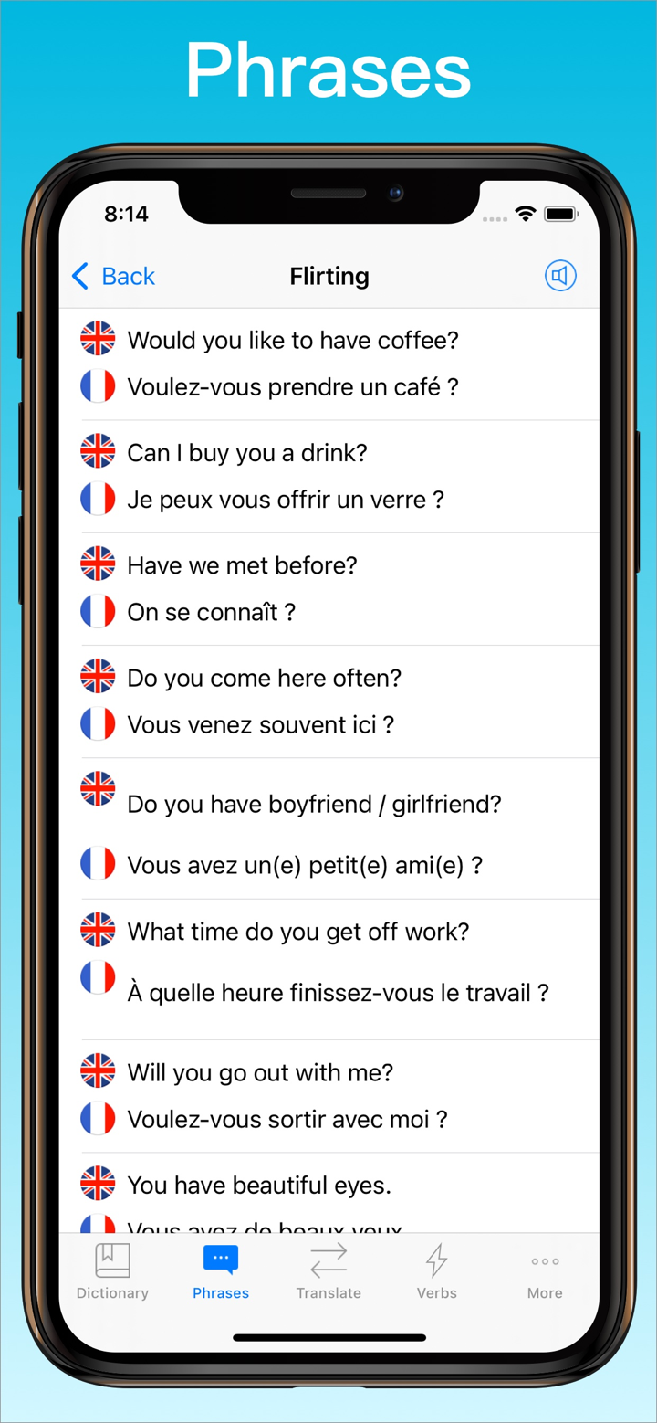 French Translator Dictionary + screenshot 8